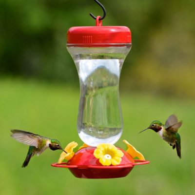 Bird Feeders