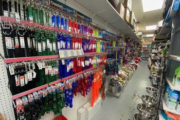 Dog & Cat Accessories Dog & Cat Accessories