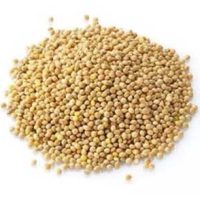 White Millet<br>50lb, 5lb